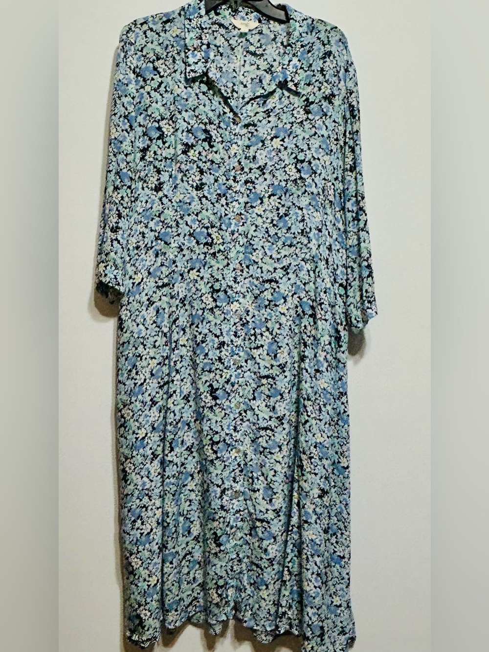 Terra & Sky Blue Floral Long Sleeve Button-Front Dress